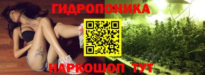 ГАЛЛЮЦИНОГЕННЫЕ ГРИБЫ Будённовск