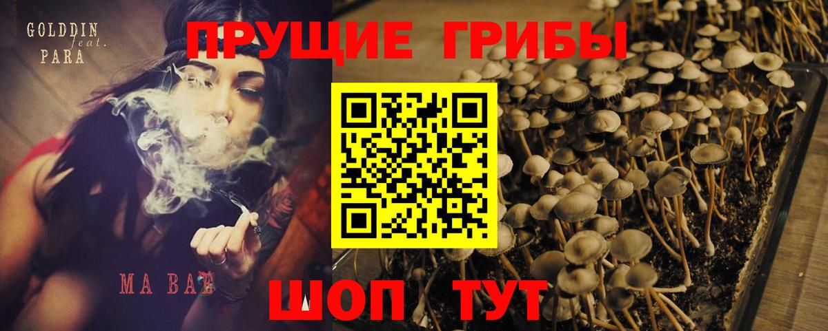 Галлюциногенные грибы ЛСД  Вход с VPN  Киржач 